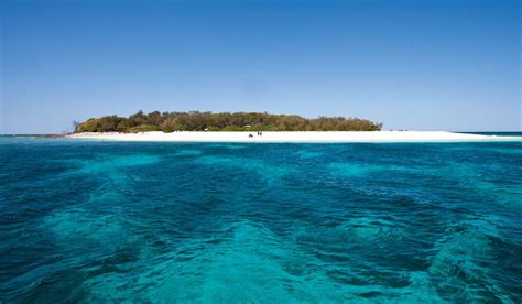 Wilson Island - a tropical escape - Australian Traveller