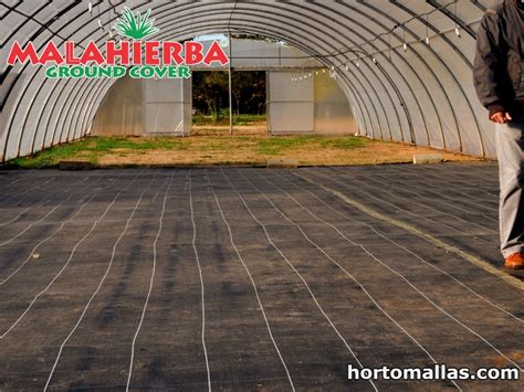 Weed barrier ground cover for your tunnels - HORTOMALLAS™, Supporting your crops®