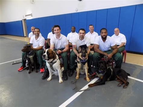 Collins Correctional Facility Service Dog Graduates 2023 - WNY Heroes