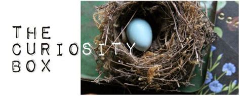 The Curiosity Box Curiosity Box, Naturalist