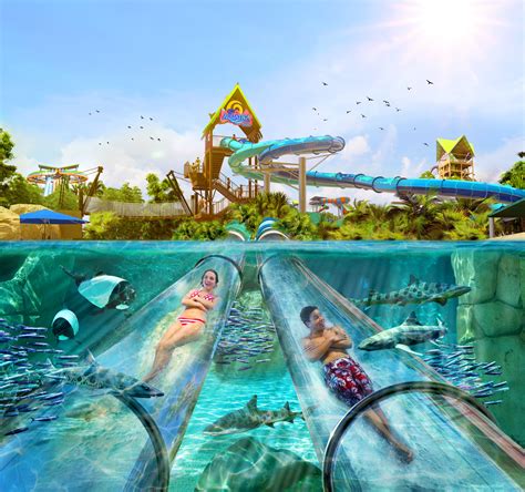 Aquatica Orlando announces new slide, Reef Pluge, along with park-wide enchancements for 2022 ...