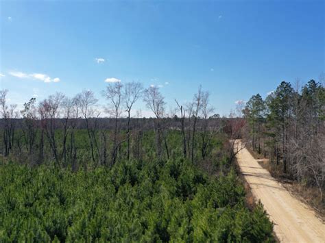 Emanuel County GA - 96.91 Acres +/- Green Hill Land & Forestry