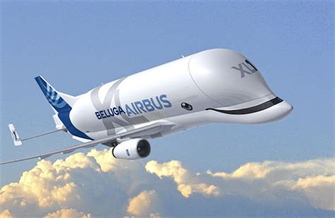 Beluga XL Rendering Image