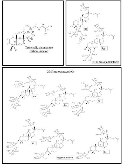 Common ginsenosides of American ginseng. Ginsenoside structure is based ...