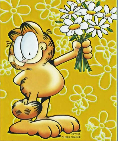 Garfield Thanksgiving Wallpapers - Top Free Garfield Thanksgiving Backgrounds - WallpaperAccess