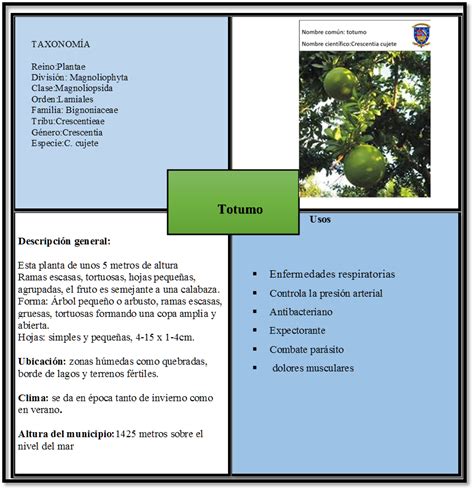 Portavoz gritar etiqueta taxonomia de las plantas medicinales Artefacto enviar donante