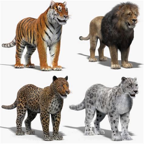 Tiger 3D Models for Download | TurboSquid