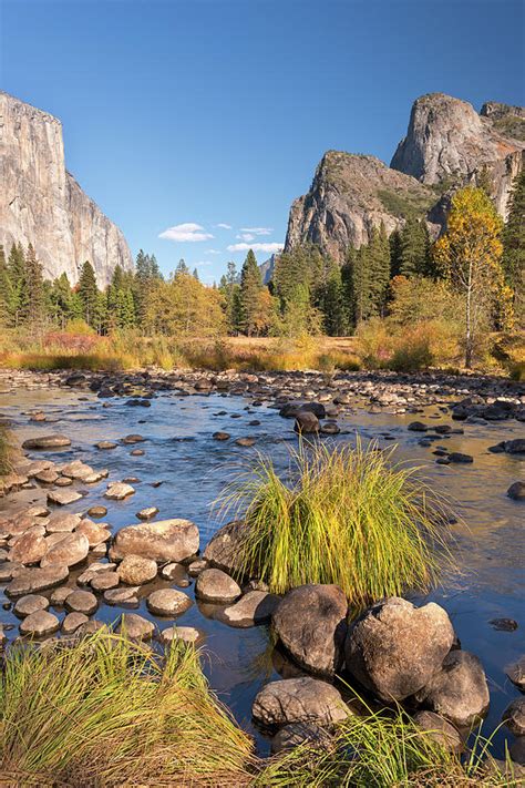 Merced River In Yosemite Valley by Adam Burton / Robertharding