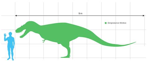 Gorgosaurus - urzeittiere.net