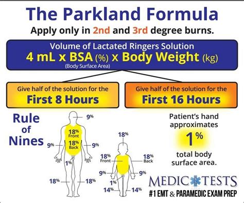 Parkland formula burn plastic | Paramedic student, Paramedic school, Burns nursing