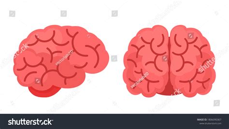 119,194 Brain Illustration Cartoon Images, Stock Photos & Vectors | Shutterstock