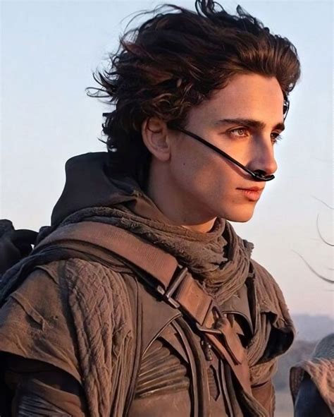 Timothée Chalamet | DUNE - Paul Atreides | Killar, Film, Kändisar