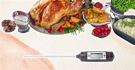 The Best Bbq Bluetooth Thermometer In 2024: Top Picks And FAQs