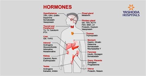 Endocrine Disorders: Types, Causes, Symptoms, Diagnosis and Treatment