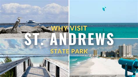 Why Visit St Andrews State Park