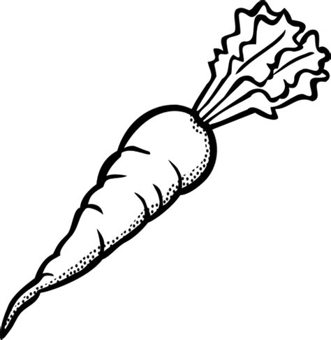 Clip at of ripe carrot in black and white | Public domain vectors