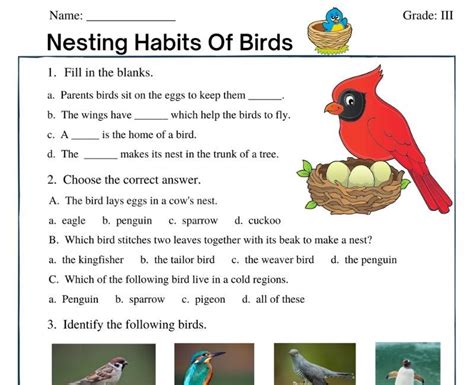 Nesting Habits of Birds | worksheet | Worksheets for grade 3, Reading comprehension for kids ...