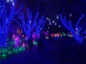 2024 Meadowlark Gardens Winter Walk of Lights Beautiful Holiday Fun