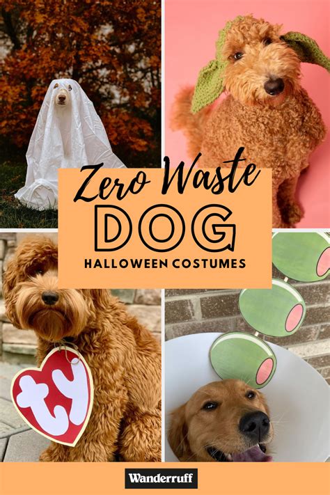 Zero Waste Dog Halloween Costume Ideas That Aren't Trashy | Dog halloween costumes, Dog ...