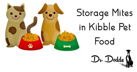 Storage Mites in Kibble Pet Food | Hemopet