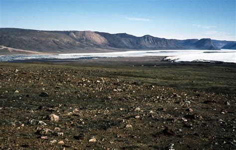 Arctic Desert, Olrik Fjord, Northern Greenland | Scarcely ve… | Flickr