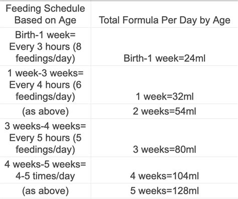 How to Feed and Care For Orphaned Kittens