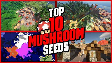 🍄 TOP 10 Best Minecraft Seeds 🍄 MUSHROOM BIOME Edition! 100% My BEST Seeds! (Part 1) - YouTube