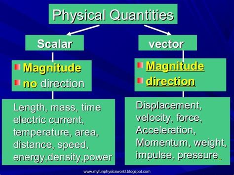 vector and scalar quantity list