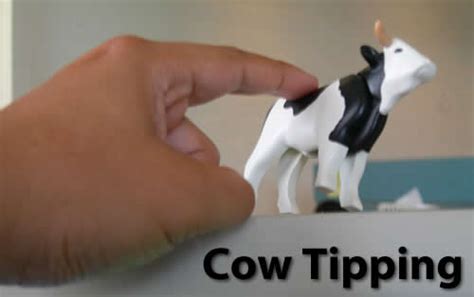 Tucows/Serious Magic's "Cow Tipping Contest" - The Adventures of ...