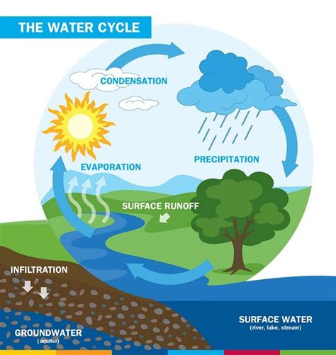 Water Cycle | Summary, What Is It? | A Level Geography Revision Notes