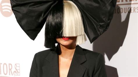 Sia's Face Accidentally Revealed During Windy Concert - ABC News