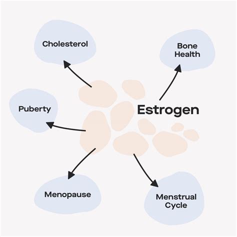 Signs and symptoms of high and low estrogen levels