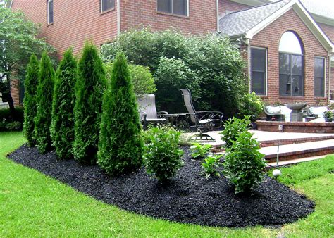 Incredible Privacy Landscaping Plants With DIY | Home decorating Ideas