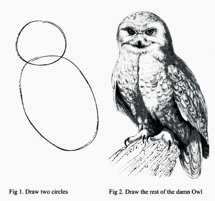 For Impact | The Suddes Group | How To Draw An Owl - For Impact | The ...