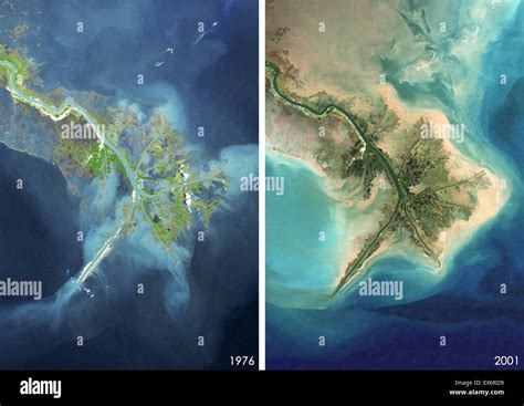 Satellite view of the Mississippi River Delta, Louisiana, USA in 1976 and 2001. Turbid waters ...