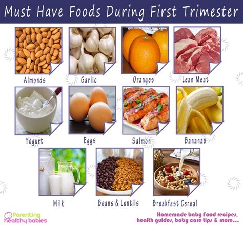 Must Have Foods during First Trimester