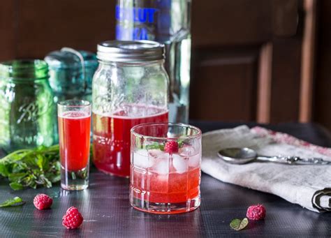 Raspberry Shrub Recipe - A Refreshing Cocktail You'll Love