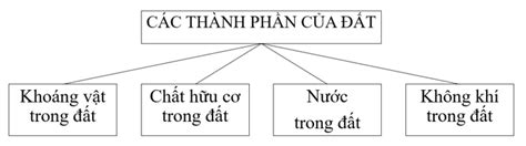 Giải SGK Địa lí 6 Bài 21 (Cánh Diều) Lớp đất trên Trái Đất