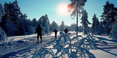 Your One Stop Guide to Skiing in Norway - Daily Scandinavian