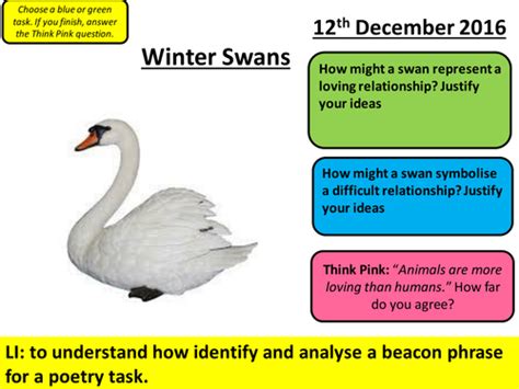 Winter Swans Lesson - AQA Poetry Anthology - Love and Relationships Cluster | Teaching Resources