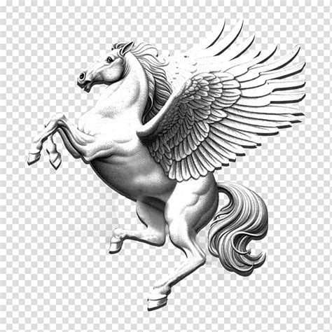 White pegasus , , Pegasus transparent background PNG clipart | HiClipart | Horse tattoo design ...