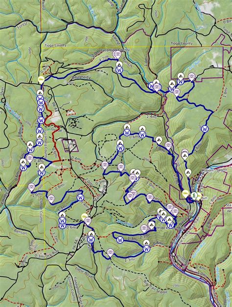 Black Forest Trail Backpacking Guide — Into the Backcountry