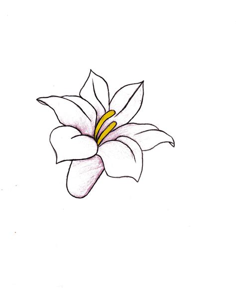 Flower drawing. by alexandraxaccidental on DeviantArt