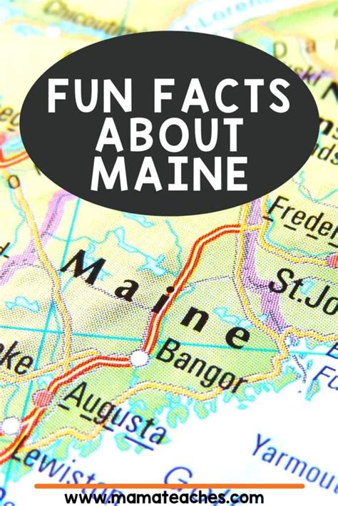 Fun Facts About Maine for Kids - Mama Teaches