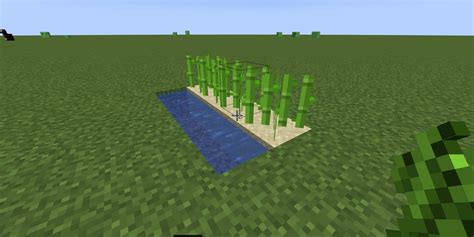 Minecraft: How To Build An Automated Sugar Cane Farm