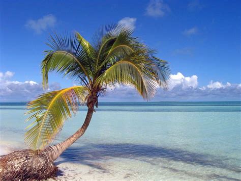 Cuba Beach Wallpapers - Top Free Cuba Beach Backgrounds - WallpaperAccess