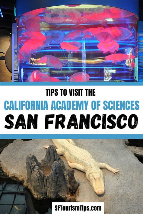 Discover tips to visit the California Academy of Sciences. My guide includes information on ...