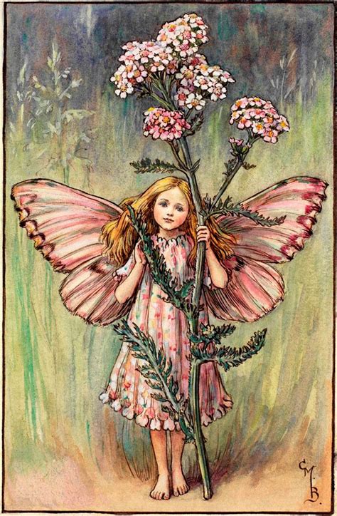 The Yarrow Fairy - Flower Fairies