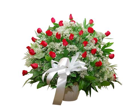 Unused > Vase Arrangement 24 Carnations