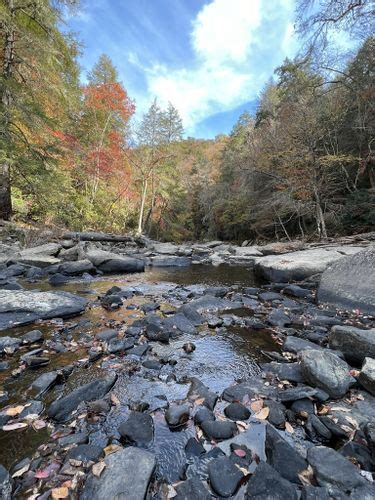 Best 10 Hikes and Trails in Fall Creek Falls State Park | AllTrails